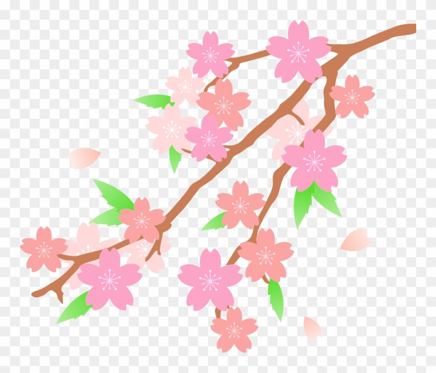Medium Image - Sakura Tree Clip Art - Png Download