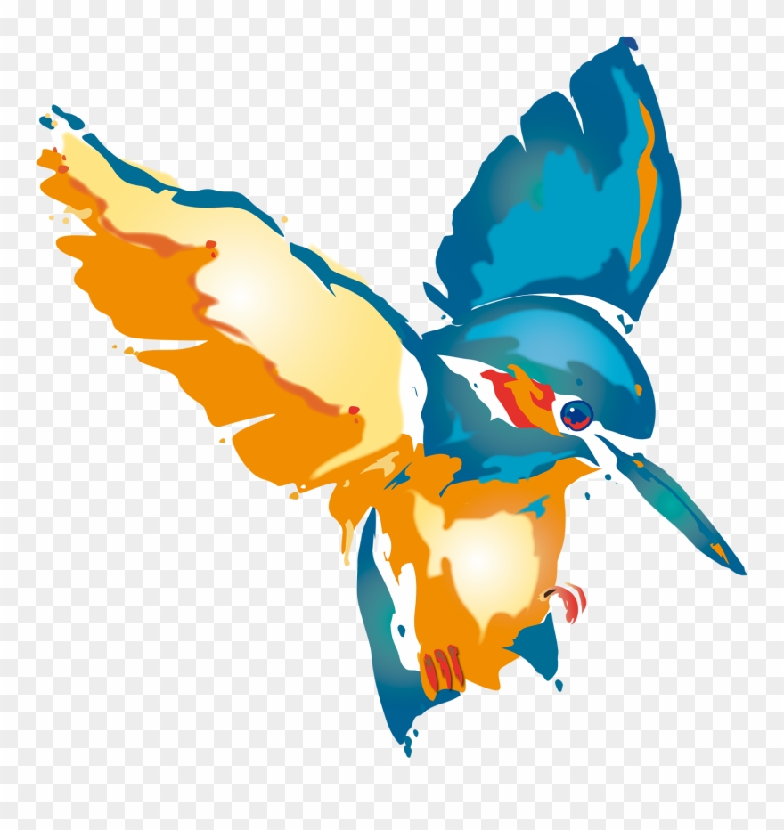 Kingfisher Clipart King Fisher - Kingfisher Graphic - Png Download