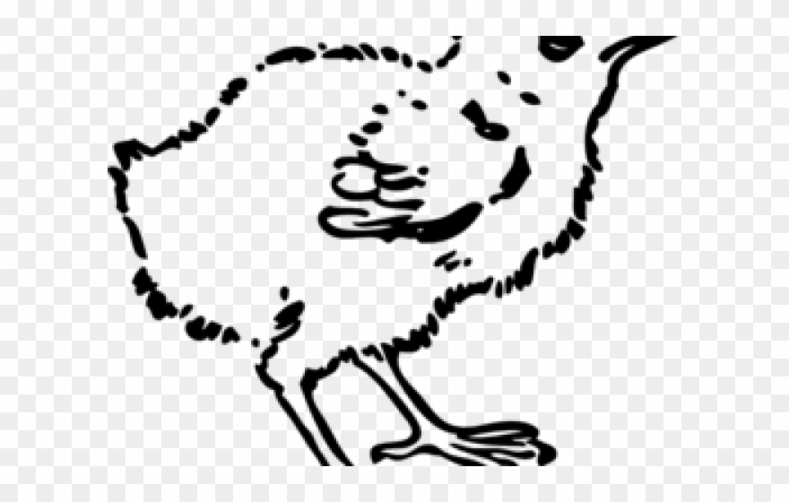 Chicken Clipart Outline - Chick Drawing Black And White - Png Download
