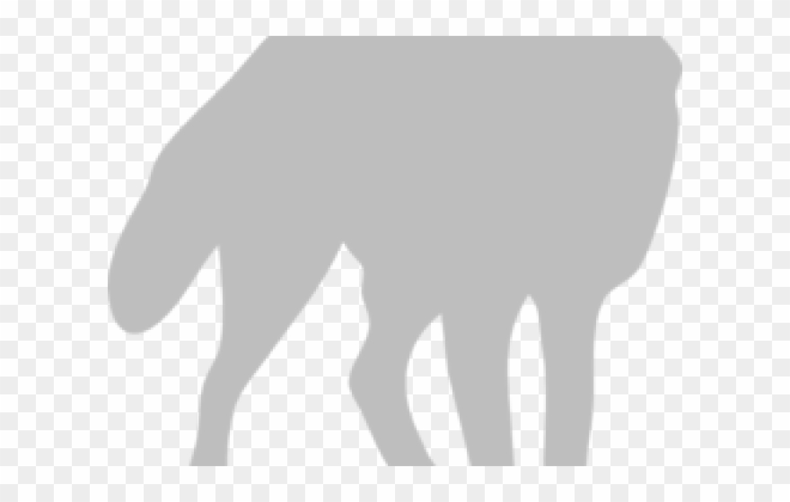 Silver Fox Clipart Black And White - Fox Silhouette - Png Download