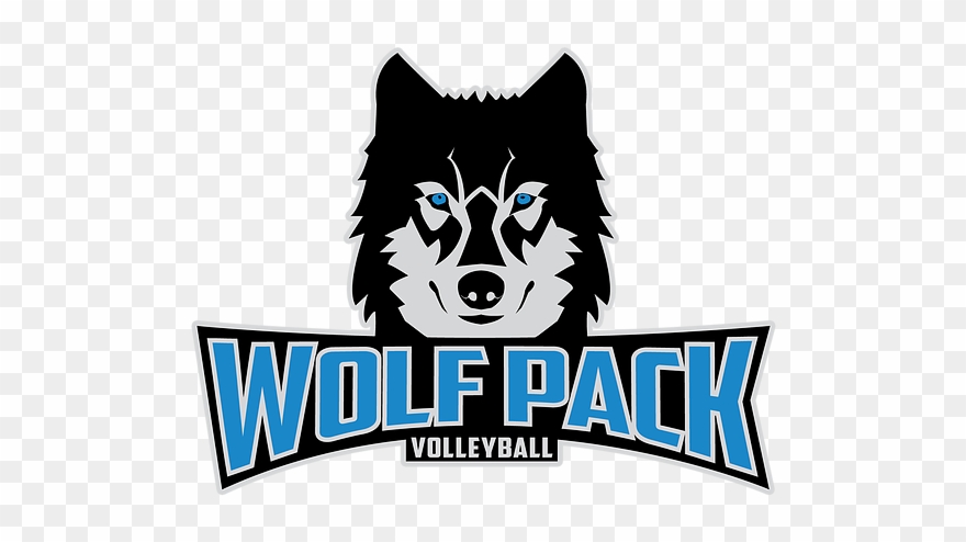 Contact Us - Siberian Husky Clipart