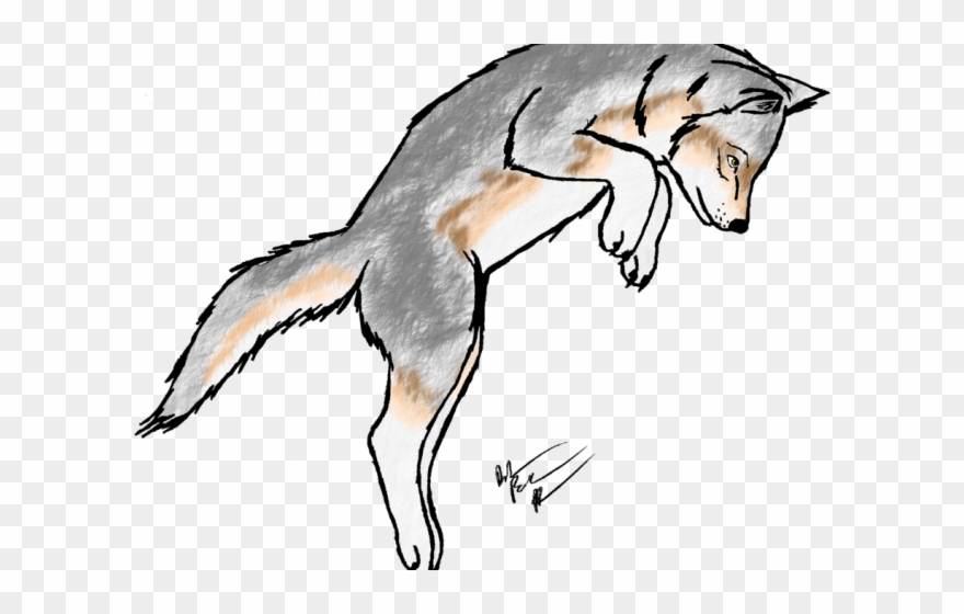 White Wolf Clipart Scary Wolf - Scared Dog Drawing - Png Download