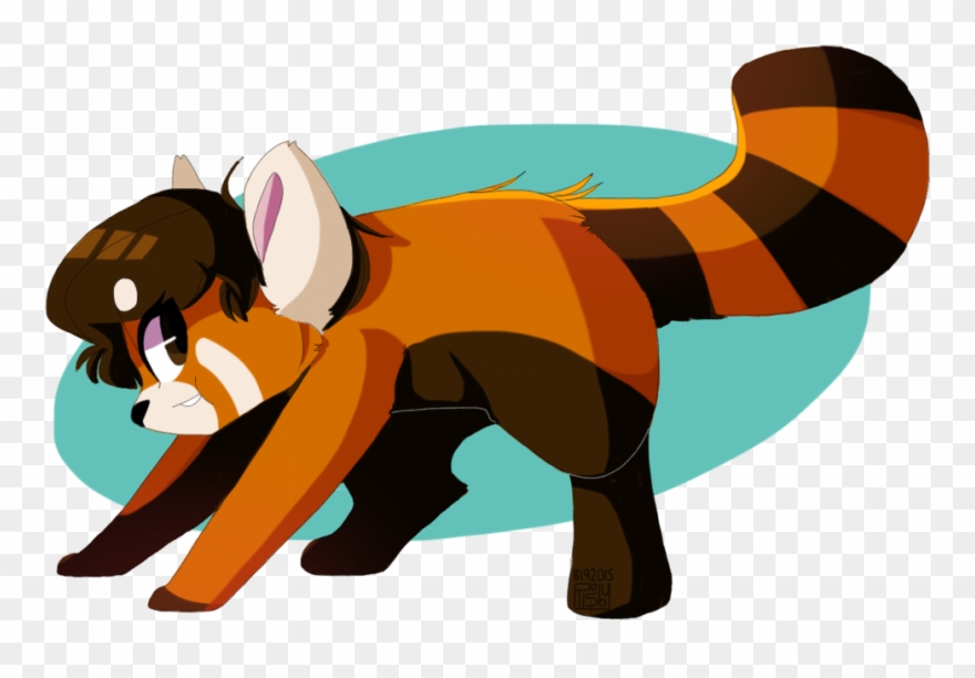 Drawn Red Panda Wolf - Red Panda Furry Oc Clipart