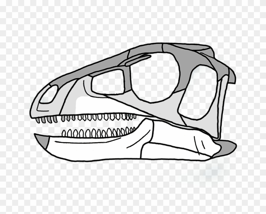Pisanosaurus Skull Clipart