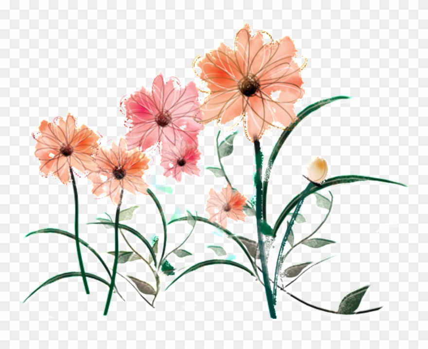 Fresh Water Pink Hand Painted Chrysanthemum Decorative - Chrysanthemum Clipart