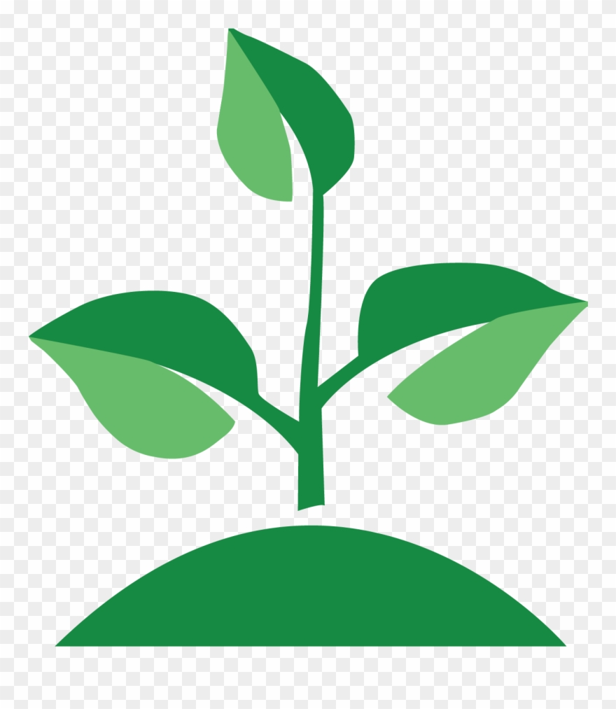 Growth - Illustration Clipart