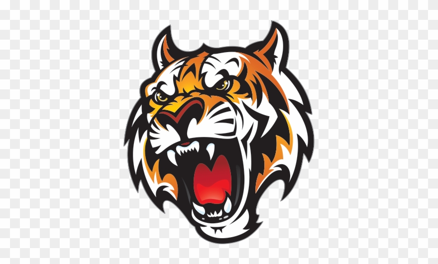 Tiger Head Png - Fleetwood High School Mascot Clipart