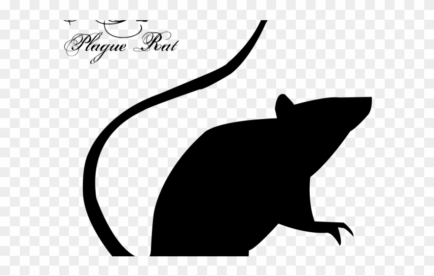 Drawn Rat Halloween - Emilie Autumn Plague Rat Clipart
