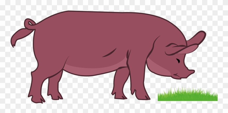 Pig Png-clipart Vector Transparent Image - Livestock