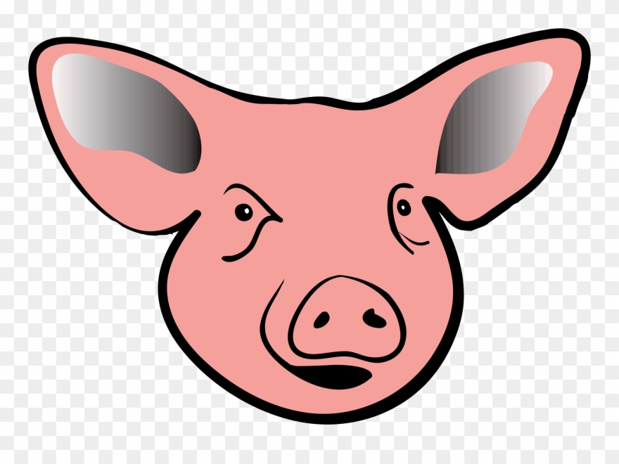 Domestic Pig Clipart