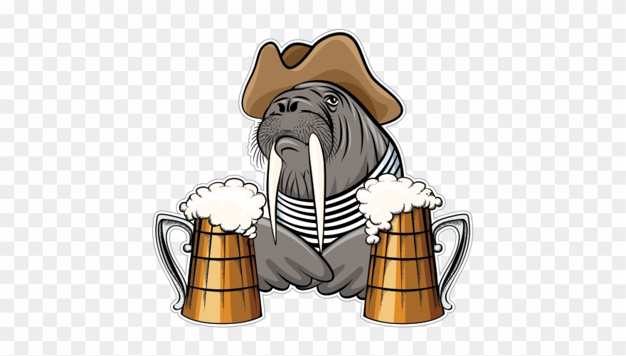 Drinking Clipart Beer - Walrus With Beer - Png Download