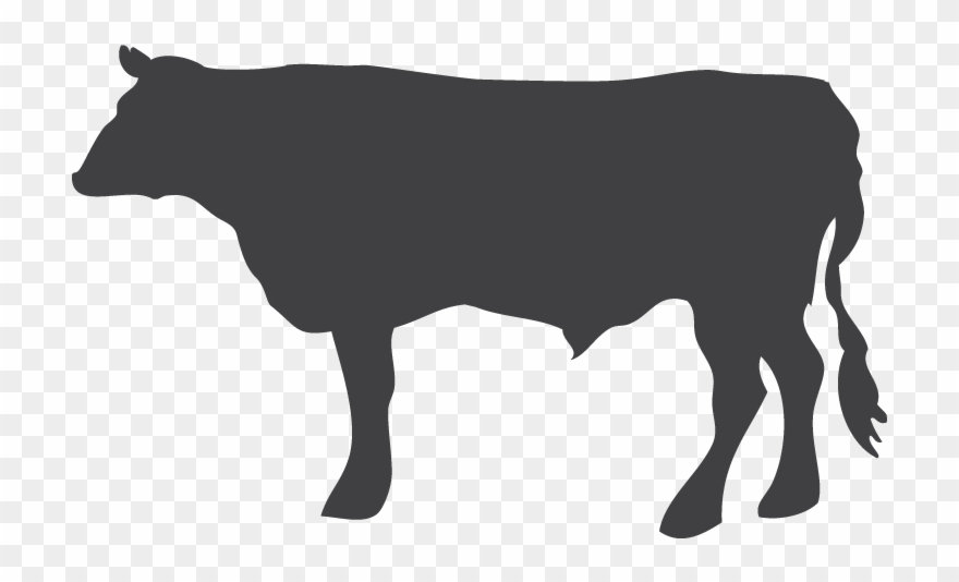 Hästkött Fint Professional Secrets Png Fence Png Transparent - Dairy Cow Clipart