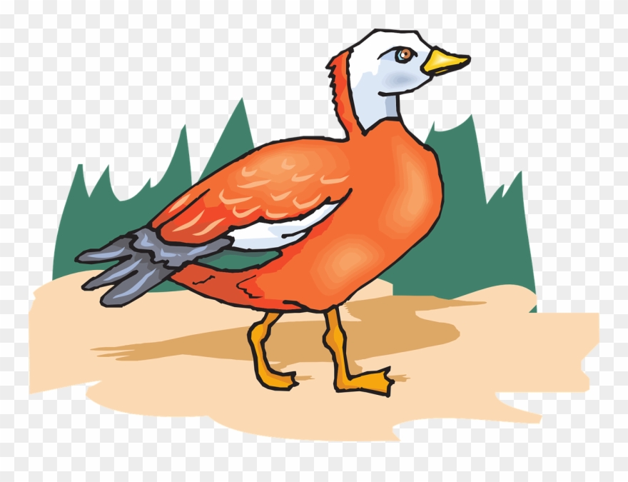 Tree Orange Bird Wings Standing Png Image - Clip Art Transparent Png