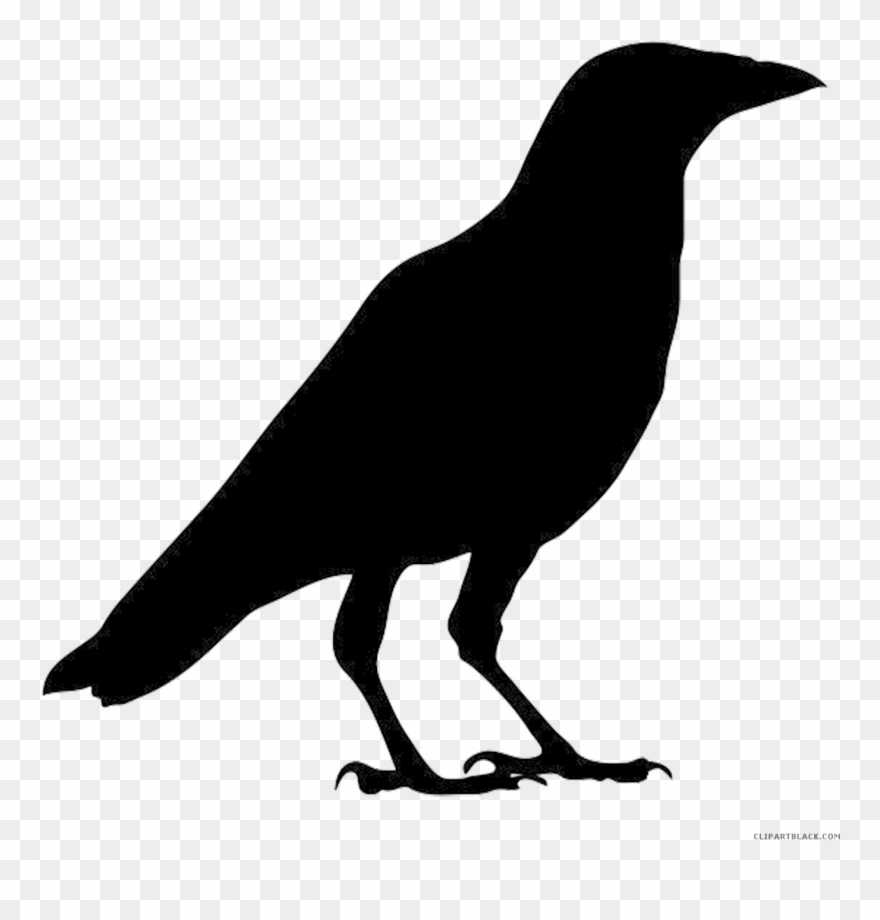 Clip Art Royalty Free Library Page Of Clipartblack - Outline Images Of Crow - Png Download