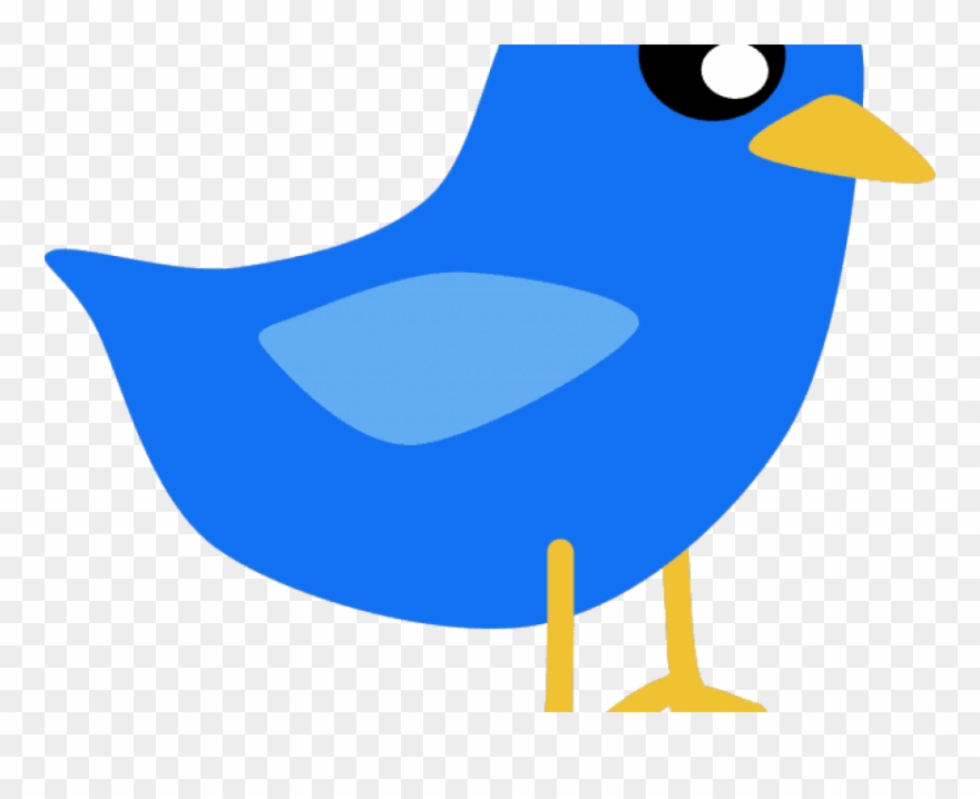 Free Png Download Red Bird Cartoon Png Images Background - Cartoon Blue Bird Drawing Clipart