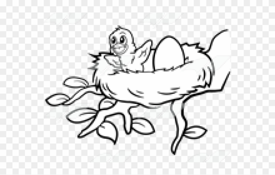 Birds Nest Clipart Mama Bird - Line Art - Png Download