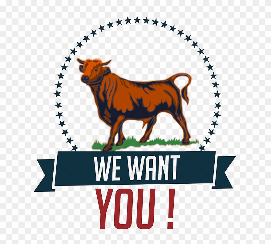 We Want You Bull - Transparent Gold Circle Border Clipart