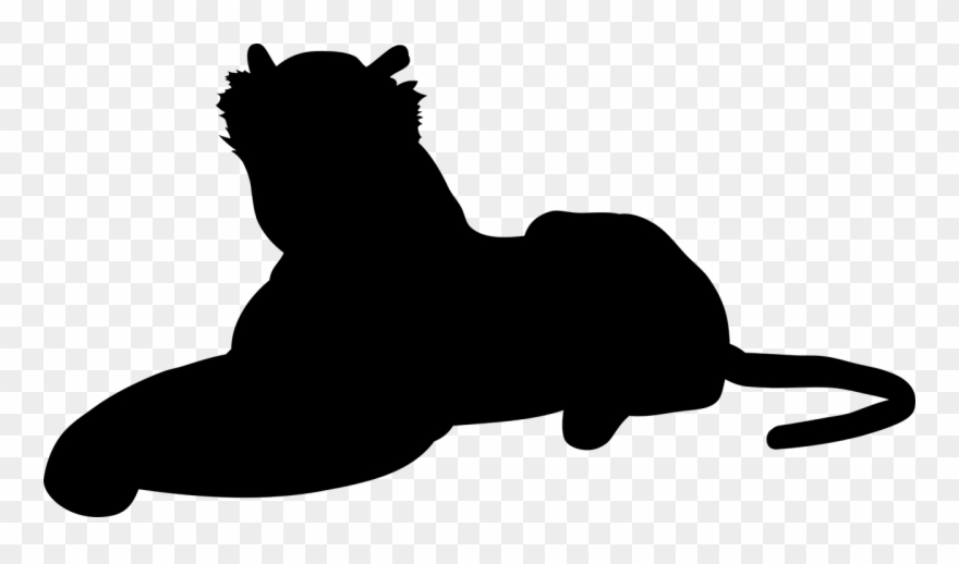 Tiger Cat Big Cat - Cat Clipart