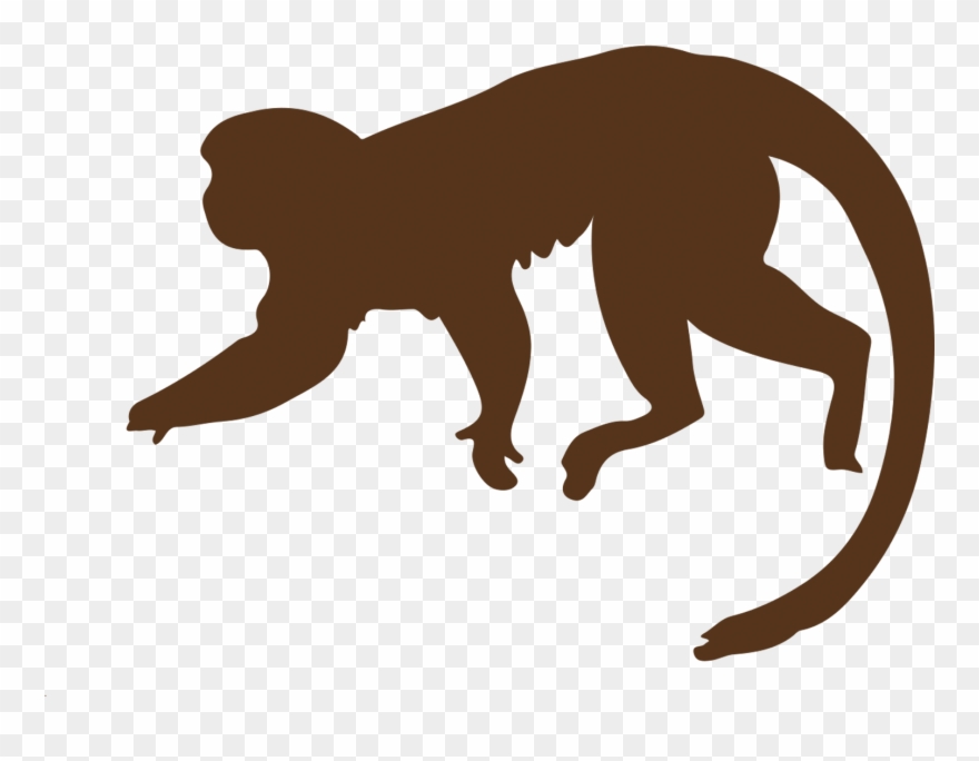 Toucan Package - Monkey Clipart