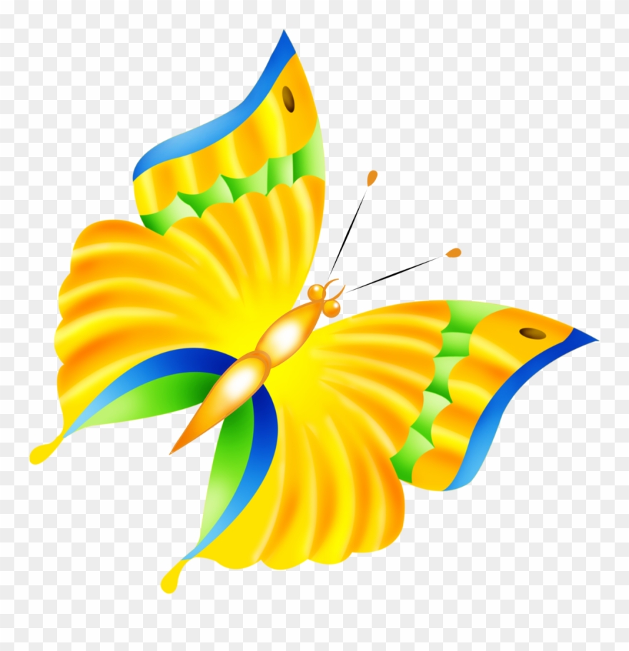 Borboletas & Joaninhas E - Бабочки Отрисовки Пнг Clipart