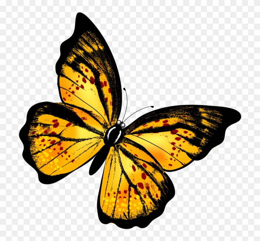 Yellow Butterfly Png Clipart