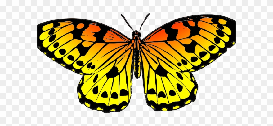 Egg Clipart Butterfly - Yellow Butterfly Clipart Png Transparent Png