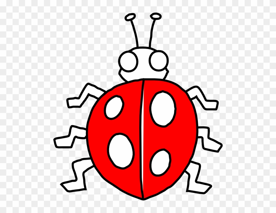 Outline Of A Ladybird Clipart