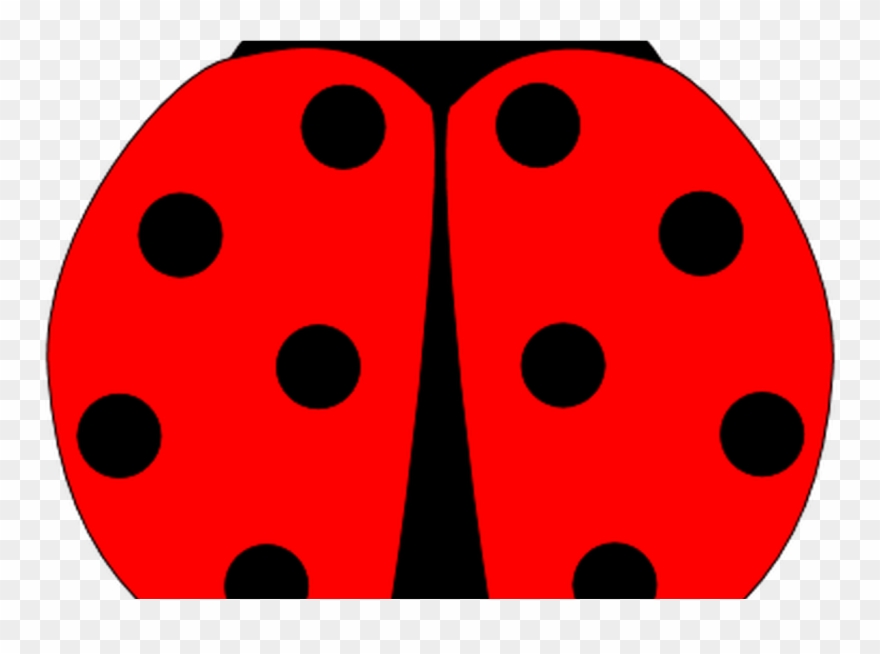 Ladybug Lady Bug Clip Art Google Search Lady Bugs - Png Download
