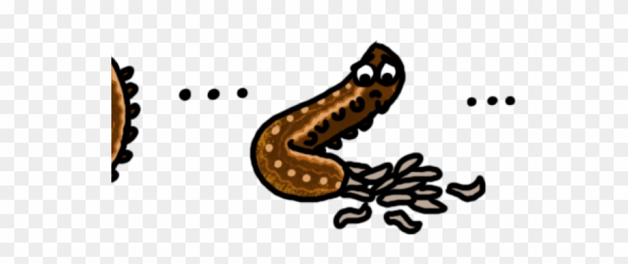 Wasp Clipart Parasitic - Png Download