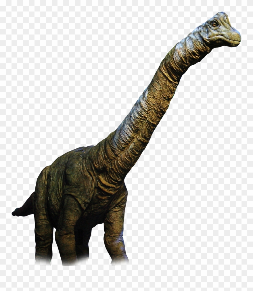Dinosaur Png - Dinosaur Real Png Clipart