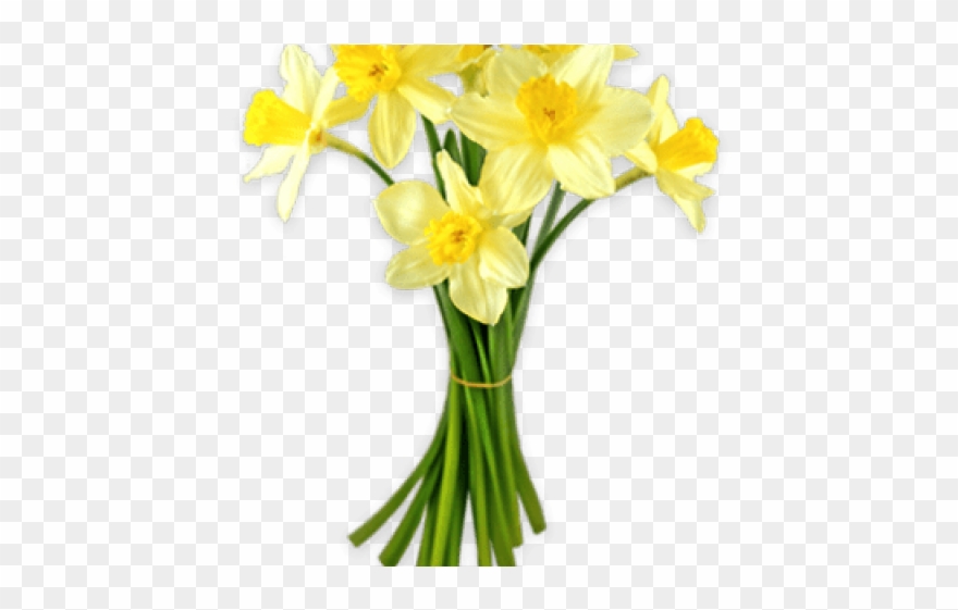 Daffodils Clipart Silhouette - Daffodil Png Transparent Png