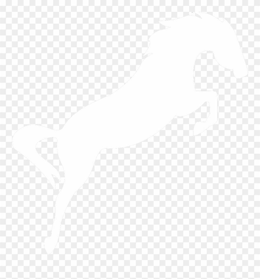 Do You Only Have Horse Racing Tipsters - Horse Clipart