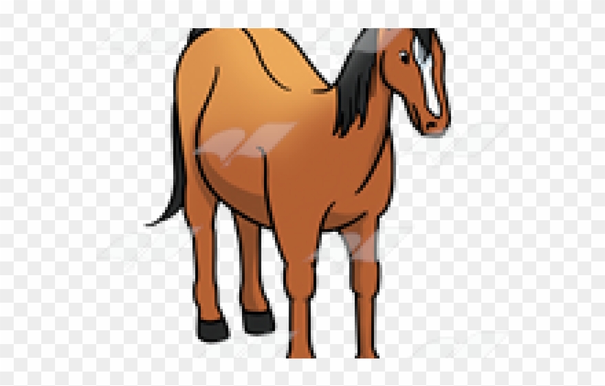 Horse Clipart Nose - Cartoon - Png Download