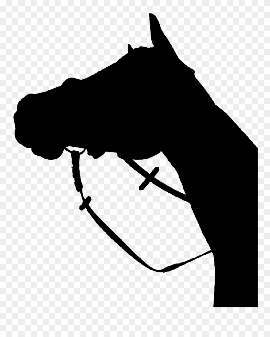 Horse Silhouette Black - Horse Head Low Angle Clipart