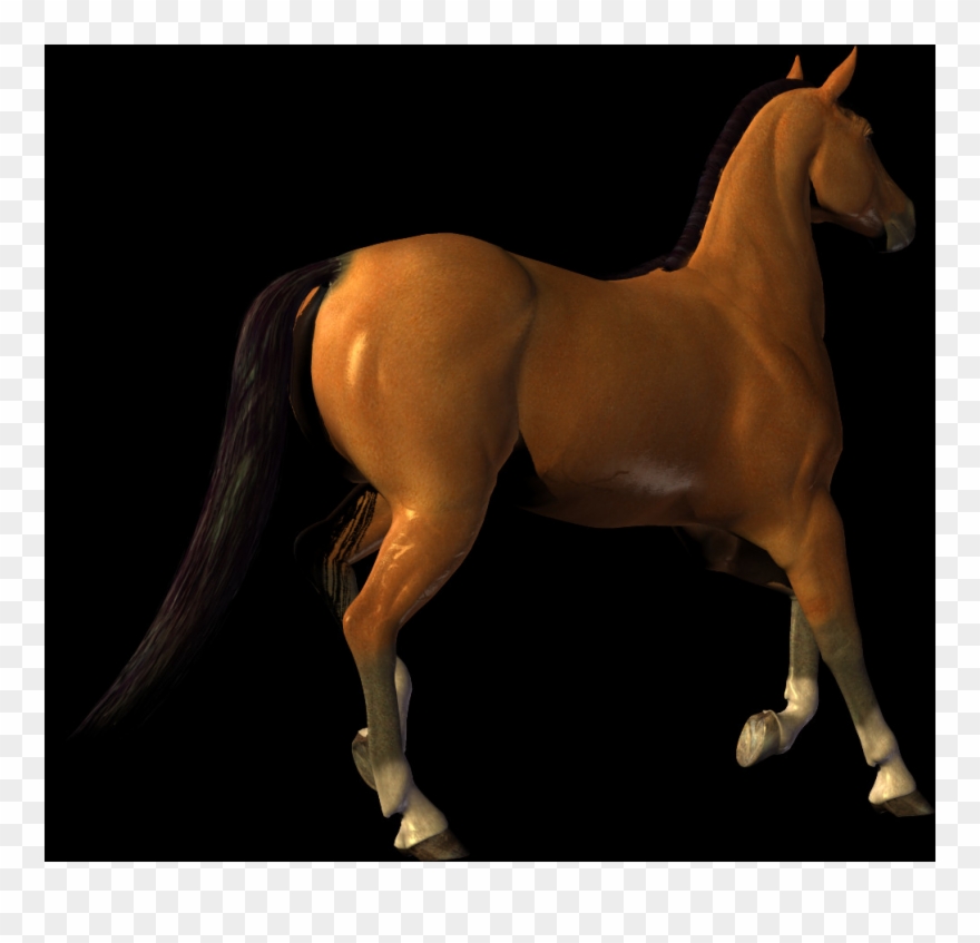 Free Horse Png Images - Stallion Clipart