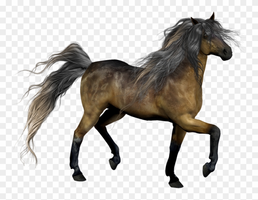 رسم حصان ثلاثي الابعاد Clipart