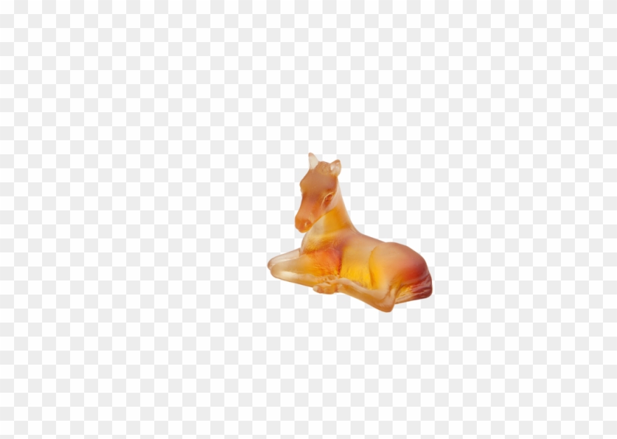 Mini-poulain Ambre 05333 C Clipart