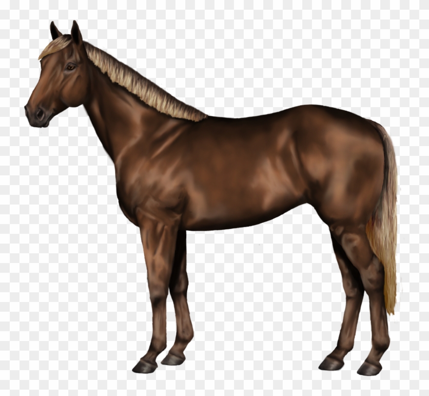 Bleeding Diamonds Of Stone Orchard Stables Secondhand - Collecta Pony Clipart