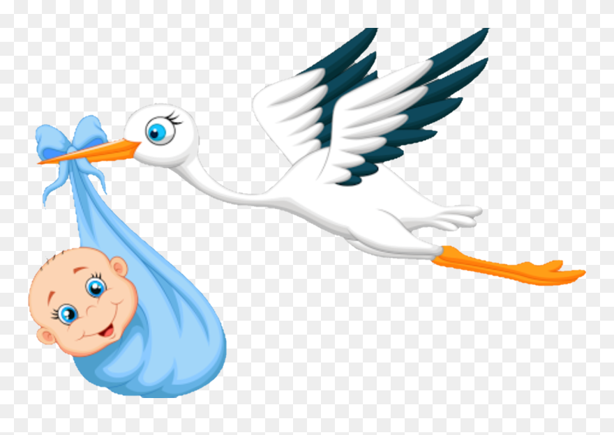 Report Abuse - Cegonha Carregando Bebe Clipart