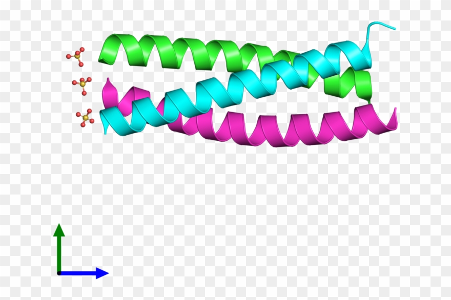 Pdb 4dme Coloured By Chain And Viewed From The Front Clipart