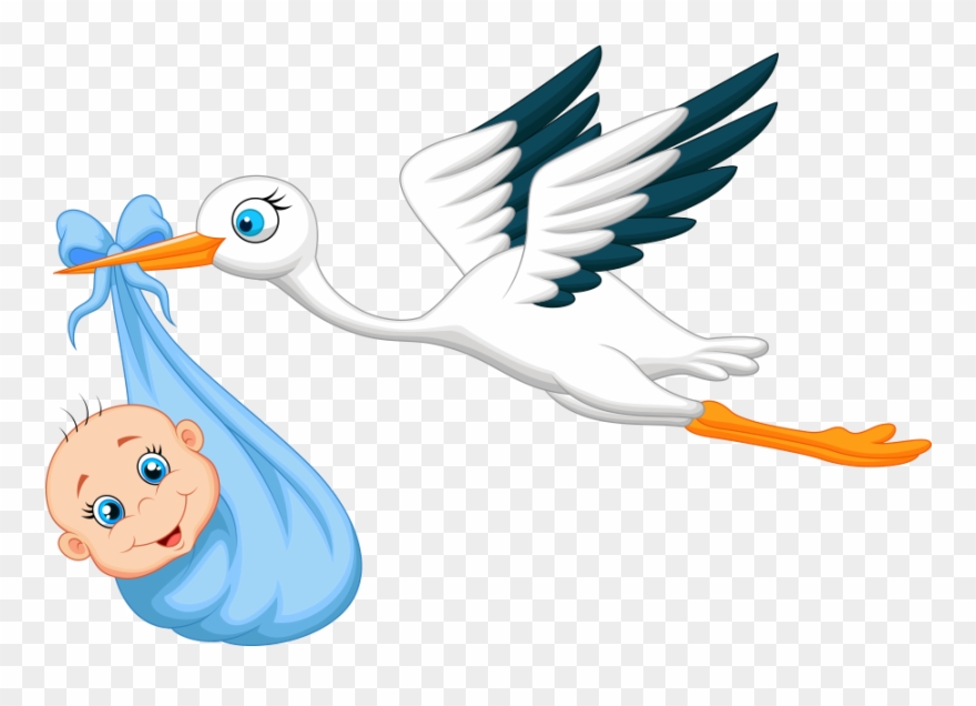 Cegonha Carregando Bebe Clipart