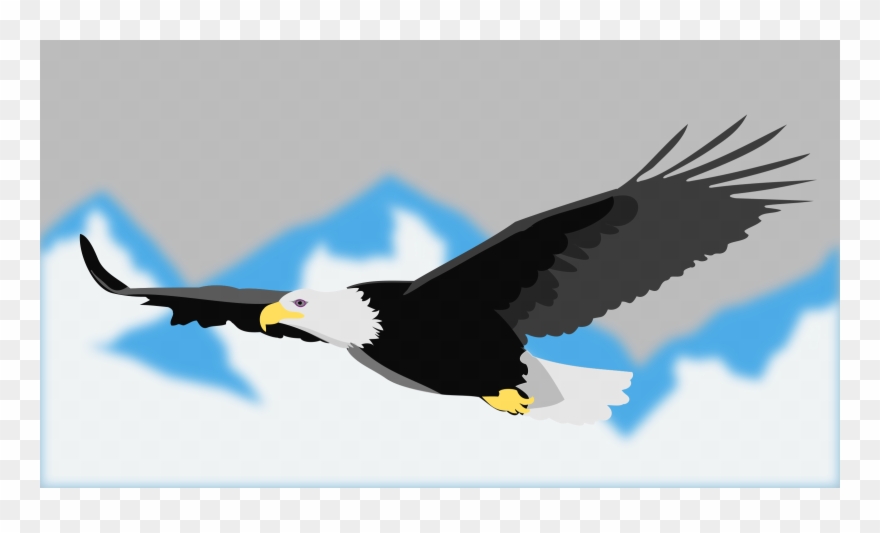 Steller's Sea Eagle Clipart Transparent - Donald Trump Riding An Eagle Shirt - Png Download