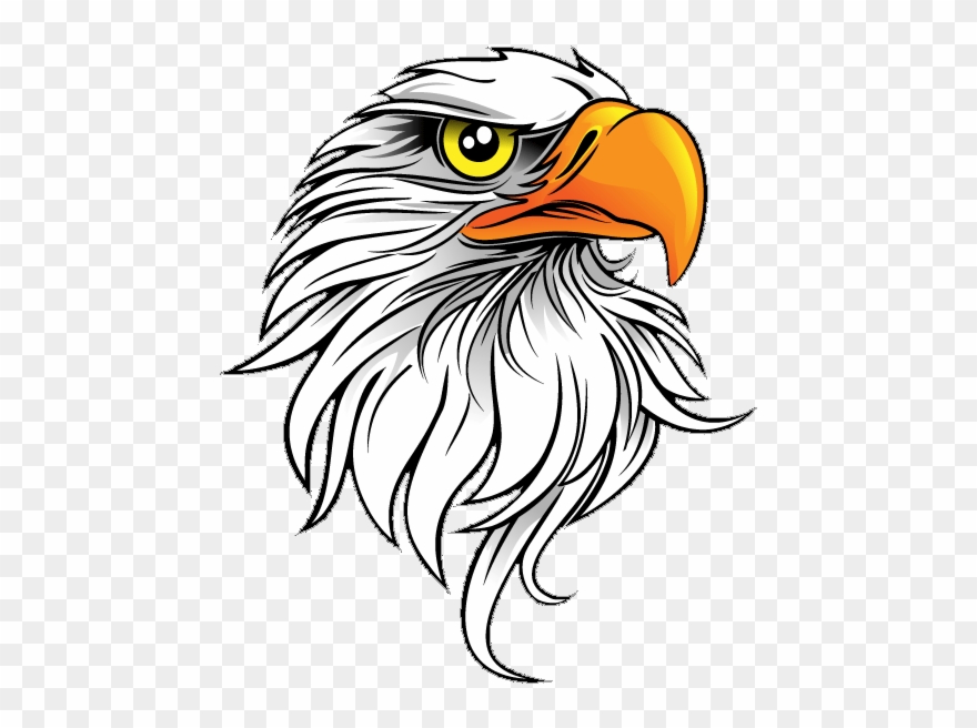 Eagle Save Png - Transparent Background Eagle Png Clipart