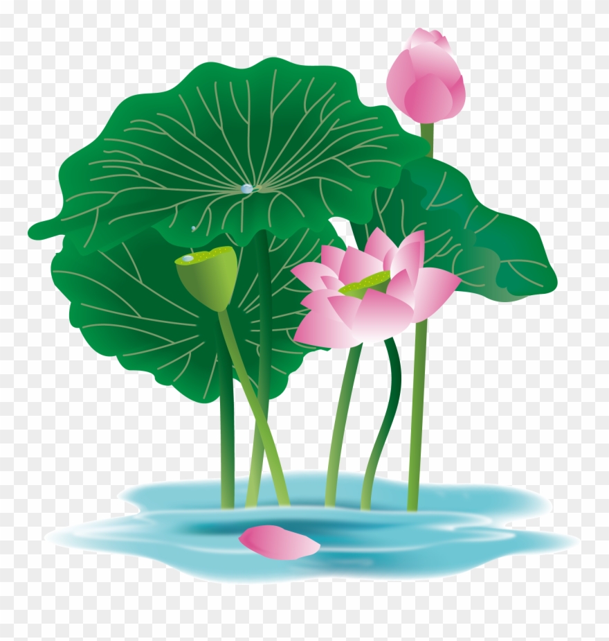 Hand Painted Plant Flower Water Lily Png And Vector - Anthurium Clipart