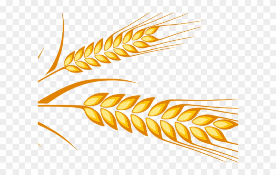 Wheat Clipart Artistic - Png Download