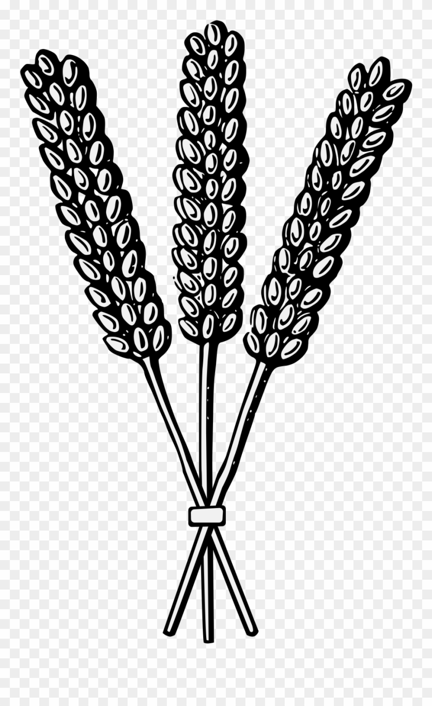 Details, Png - Heraldry Wheat Clipart