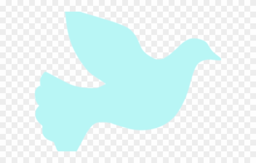 Dove Clipart Pink - Marine Mammal - Png Download