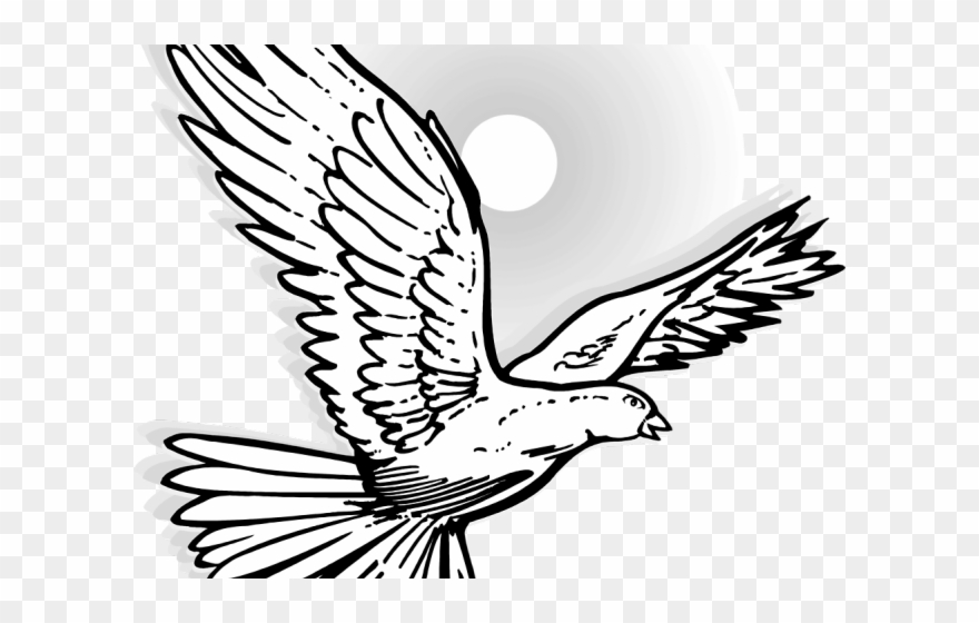 Mourning Dove Clipart White Winged - Flying Dove - Png Download