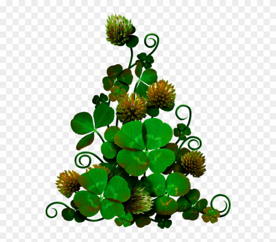 Stonecrop Family Clipart