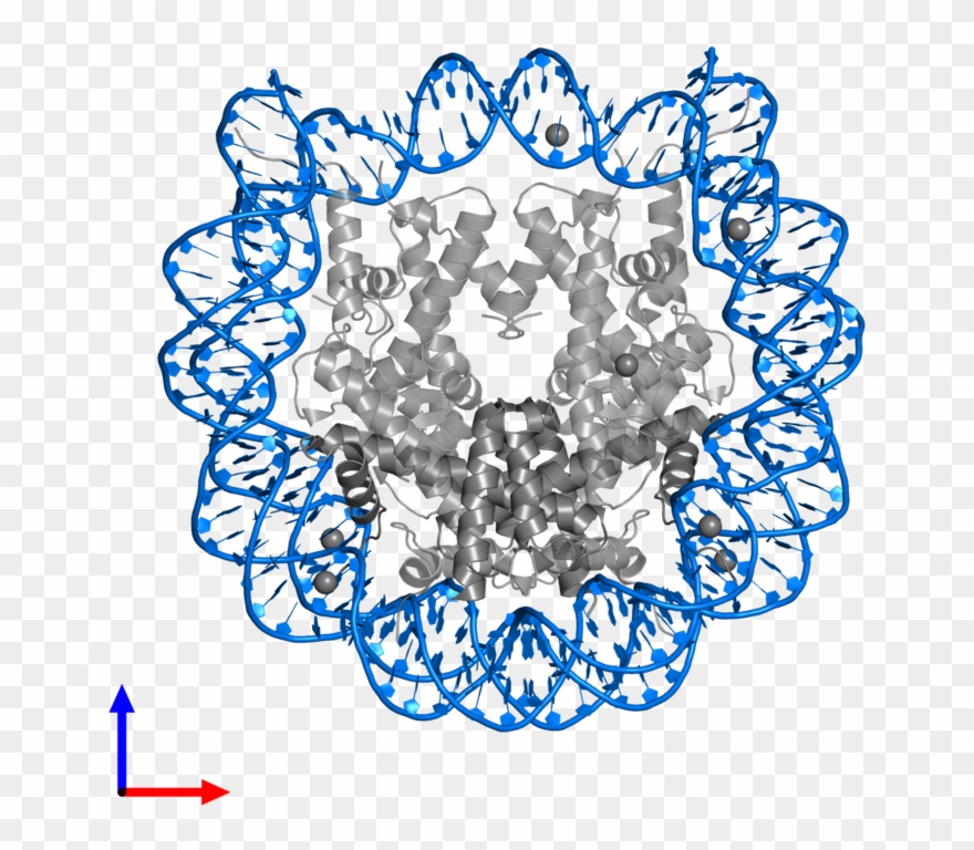 <div Class='caption-body'>pdb Entry 5b2j Contains 2 - Illustration Clipart